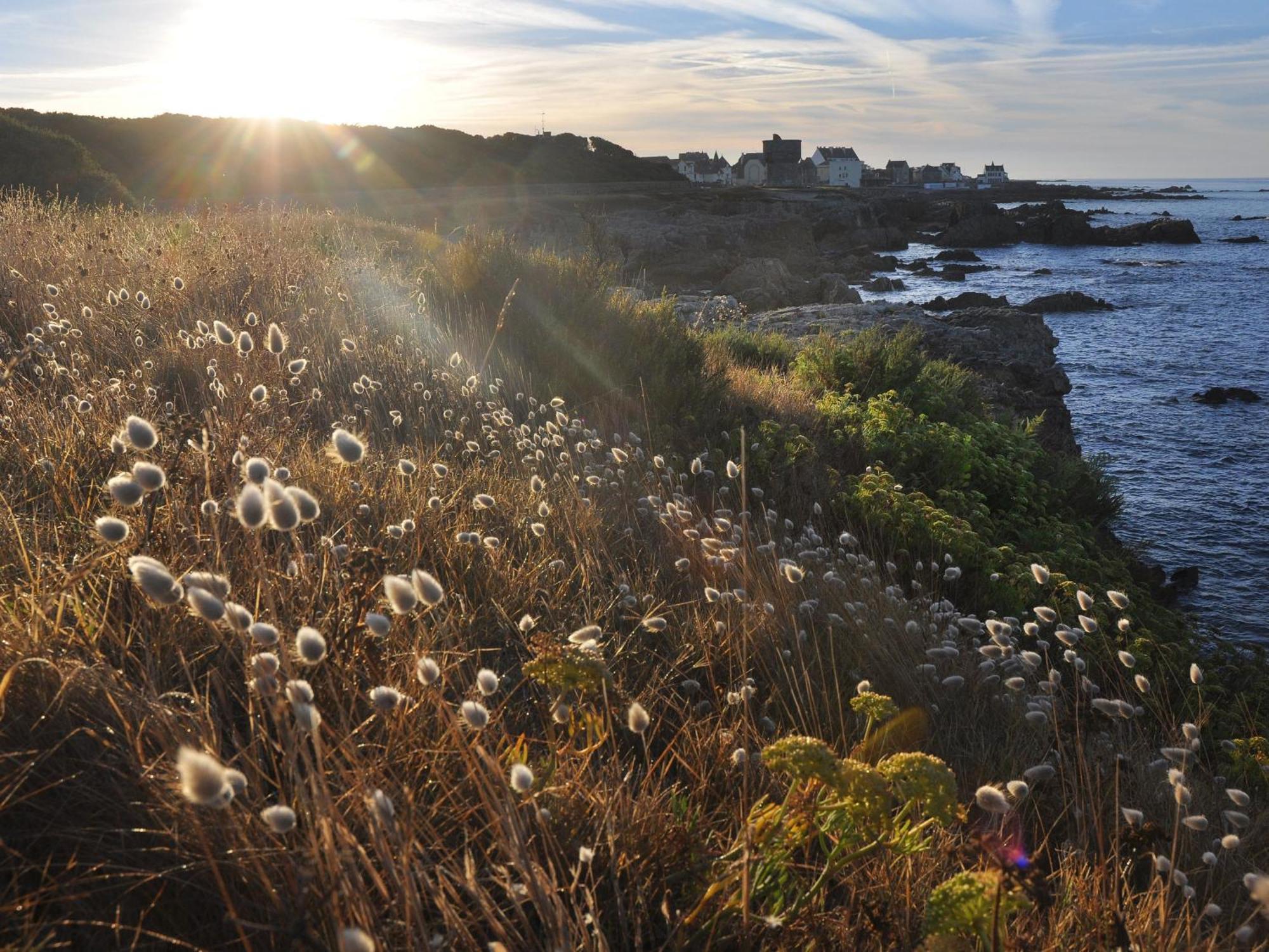 Appartements En Bord De Mer Avec Wifi Et Animal Accepte A Piriac-Sur-Mer - Fr-1-306-943 Bagian luar foto